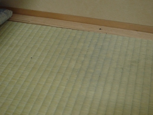 畳のカビ