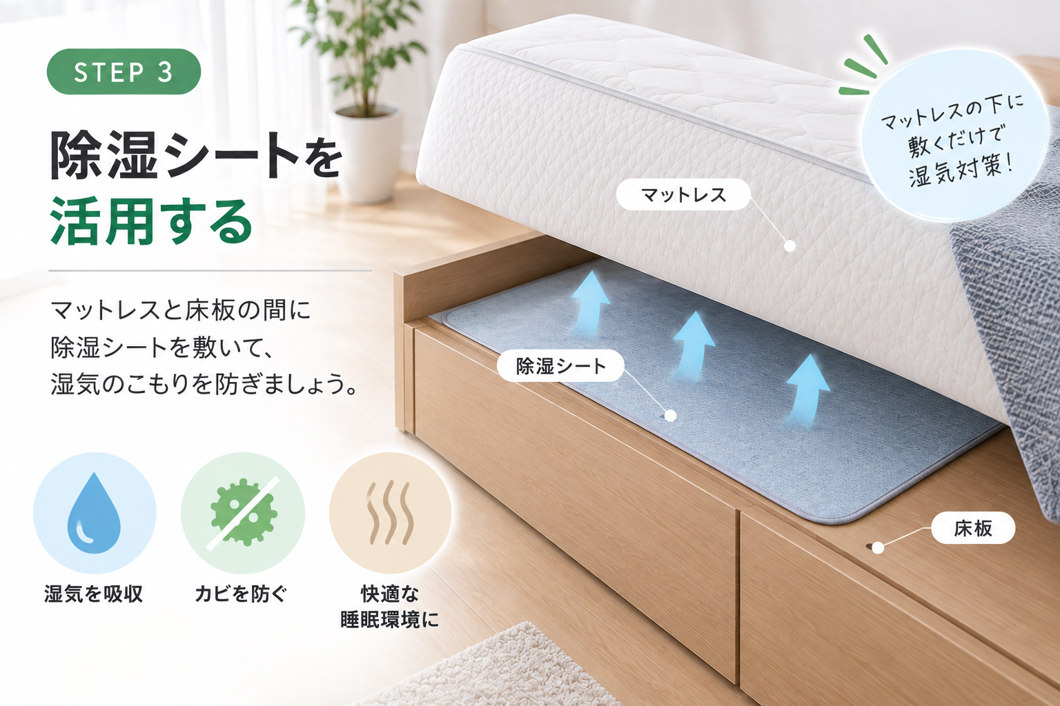 除湿シートの使い方ガイド