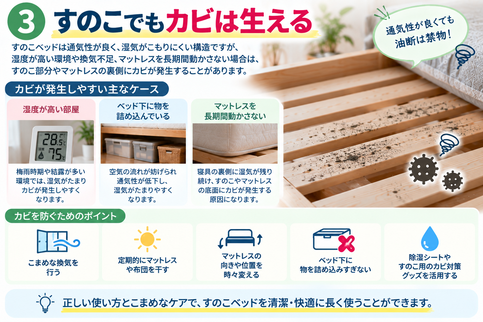すのこベッドのカビ対策ガイド