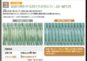 畳跳ね上げベッド_【Sagesse】サジェス