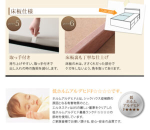 収納ベッド Ernesti エルネスティ