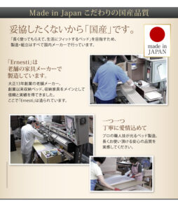 収納ベッド Ernesti エルネスティ