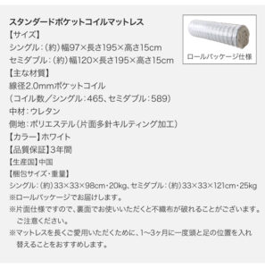 収納ベッド Ernesti エルネスティ