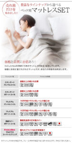 棚・コンセント付きデザインすのこベッドCamilleカミーユ