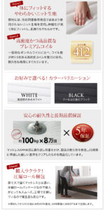 棚・コンセント付きデザインすのこベッドCamilleカミーユ
