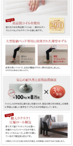 ショート丈チェストベッド Refes リフェス