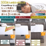 モダンデザインレザーフロアベッド BASTOL バストル