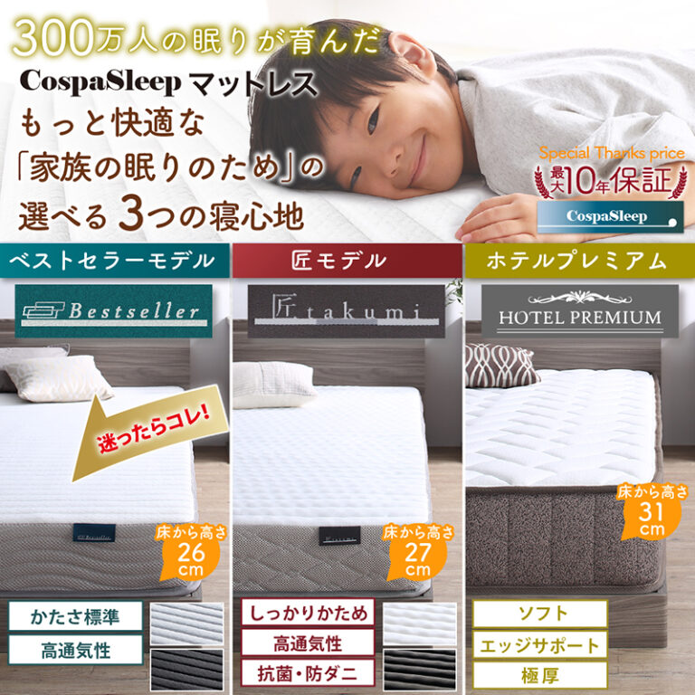 モダンデザインレザーフロアベッド BASTOL バストル