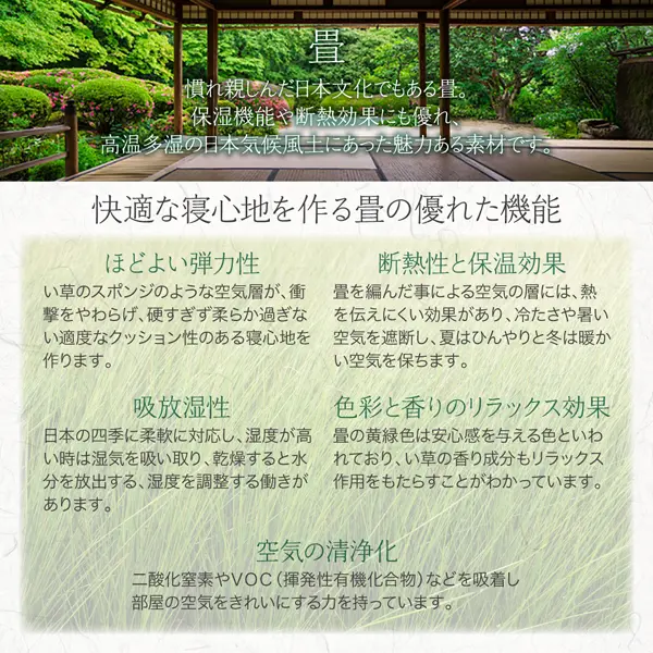 シンプルモダンデザイン大容量収納日本製棚付きガス圧式跳ね上げ シンプルモダンデザイン大容量収納日本製棚付きガス圧式跳ね上げ