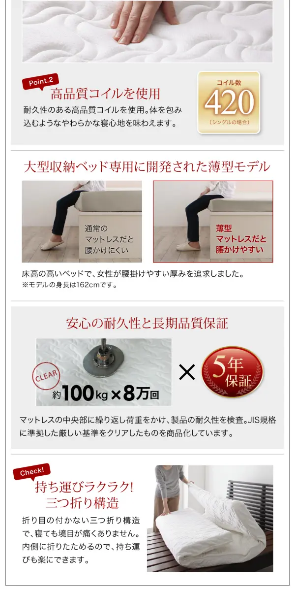 長く使える国産頑丈大容量跳ね上げ収納ベッド BERG ベルグ