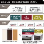 コンセント付きチェストベッド Spass シュパース
