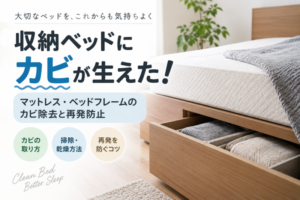 収納ベッドにカビが生えた！マットレス・ベッドフレームのカビ除去と再発防止