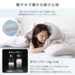 a1060