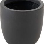 c009